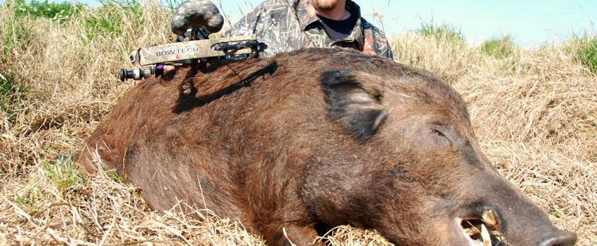 Have a great hunt and barbecue.