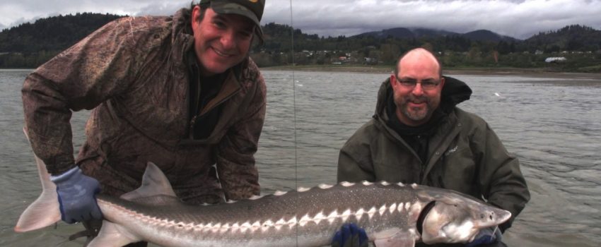 lunkerville_sturgeon_1024x576