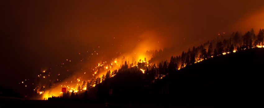 Forest fires not only close much public land to hunting, but the fire-fighting efforts greatly disrupt normal game movements.