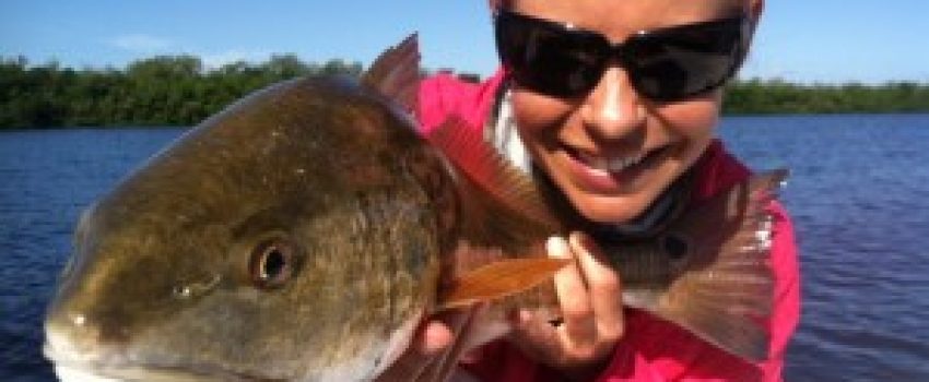 redfish_HANSON-300x223 Photo by TakeMeFishing