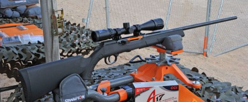 savage-a17-17hmr-intro