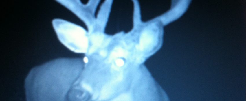 splitzIMG_1407-e1450460821518 (1)