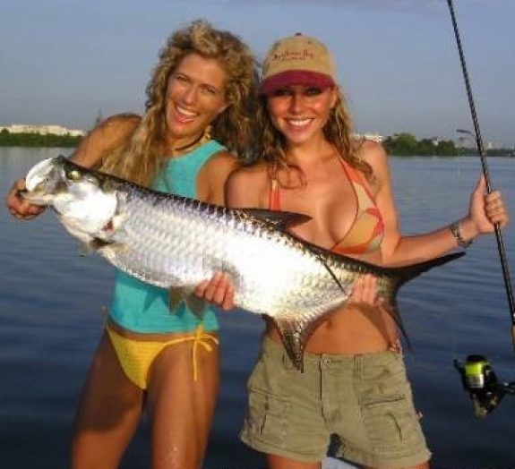 tarpon
