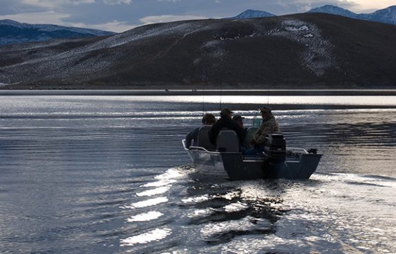 topaz_010110_0028 Photo by Nevada Department of Wildlife