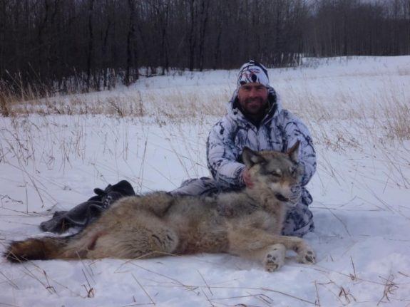 wolfcda4abfe-1378-4422-9bab-5ce3f6fc919b