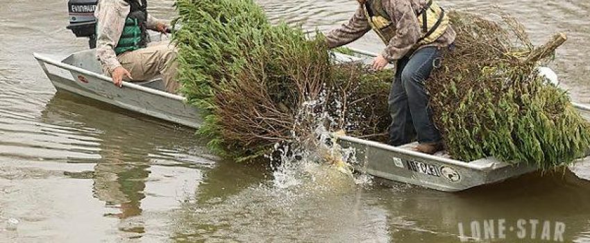 Turn your Christmas tree into a home for fish.