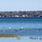 Michigan DNR Lake St. Clair