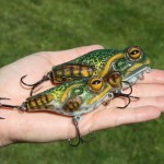 small-frog1 Photo by moreaubaits.com