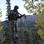 Colorado Elk 2010 498