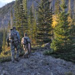 Colorado Elk 2010 545