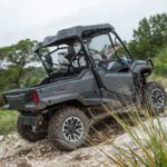 honda_pioneer-ox_ranch-sue_mead-WING4704