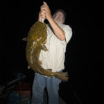 Flathead 3