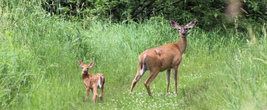 101715729_579987652721547_4213414890013807220_n