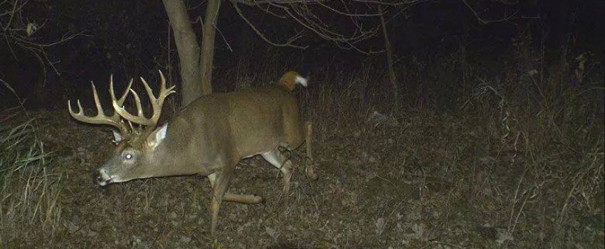 10462453_10152595988739880_4512926060335401085_n