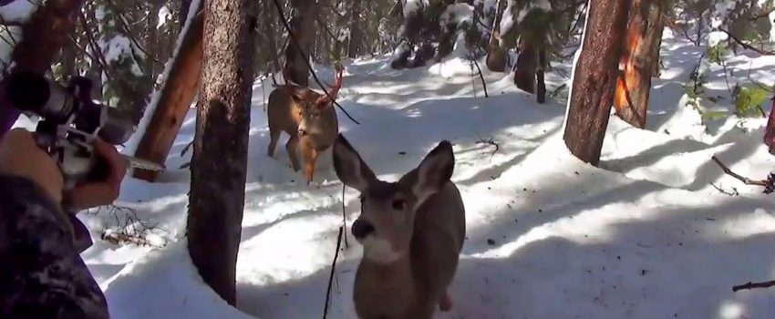 10494434_714750018590960_8546206282979578861_o