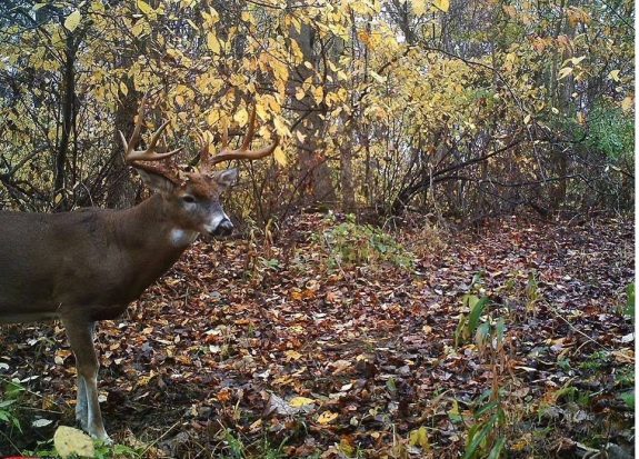 10730914_823849180970389_424186570520862985_n