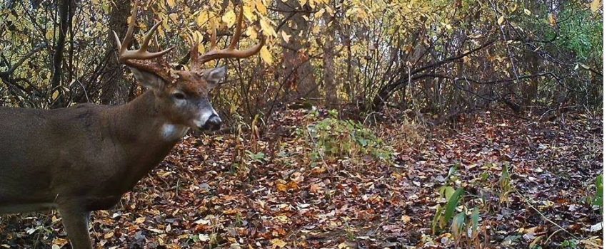 10730914_823849180970389_424186570520862985_n