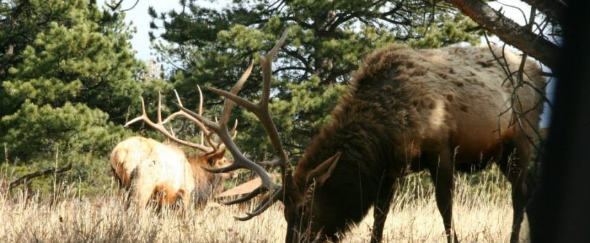 10978622_10205726579023359_5444770571066484055_n