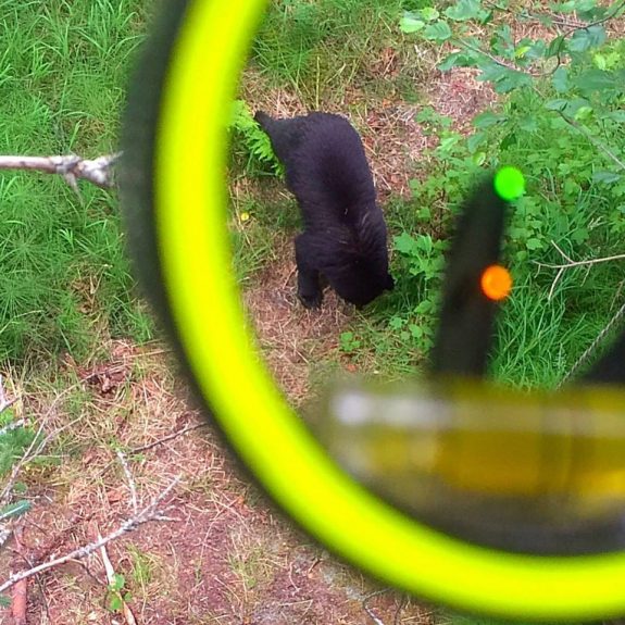 11041297_1047819915258036_2822966904823663699_n