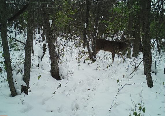 M2E97L181-181R391B361