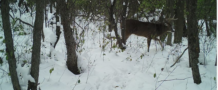 M2E97L181-181R391B361