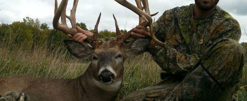 14522832_1412939025401049_3440698258863214644_n