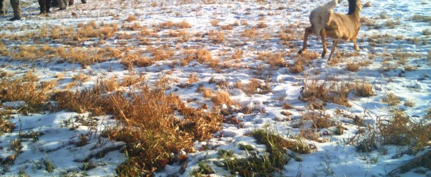 1484212_593815447357120_570236030_n