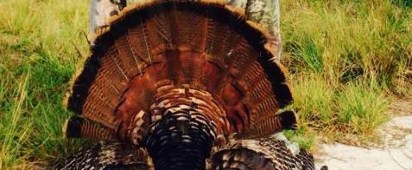 1601516_10203326181465613_723900416_n