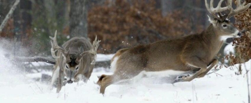 1d8598f11b55d991b78afd5206da6328