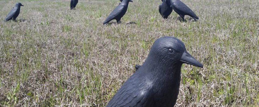 2016-03-21 12.51.21 (2)