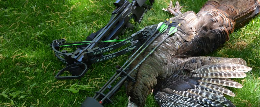 The author took this gobbler on the 30th day of the Maryland season.