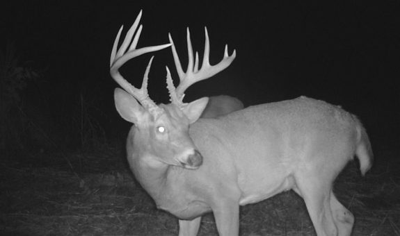 2017-08-06-17.01.19 (2)