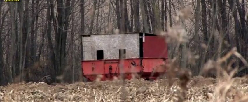 21687629_1572818892754255_3996876803636468330_n