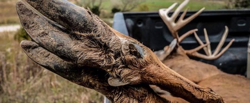 22815055_1881434911872913_2674894677091417655_n