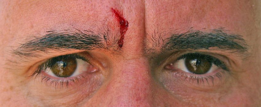 232239466_ea8178bfe7_z[1]