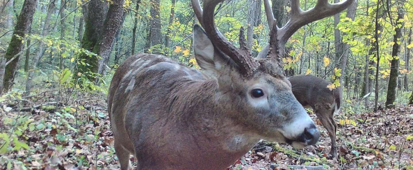 248422855_1774209802790123_6928308243508631975_n