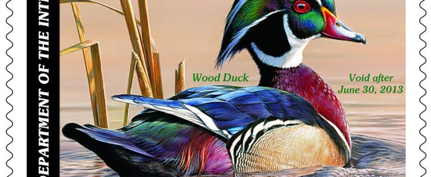 269327_521325281253262_355784561_n