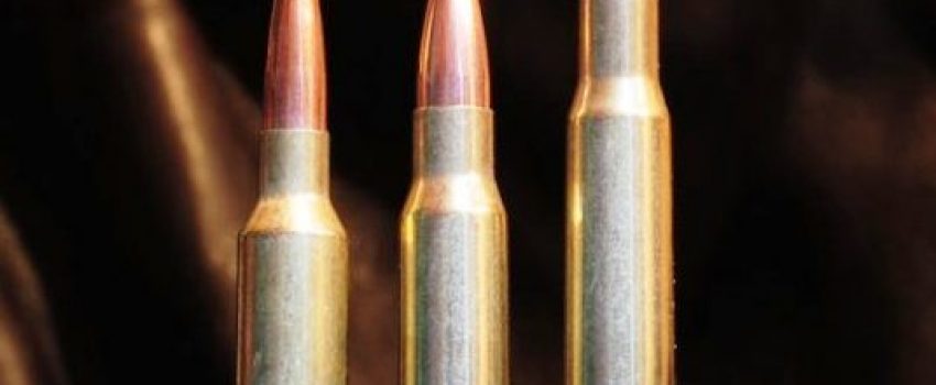 Which cartridge is best for big game hunting?