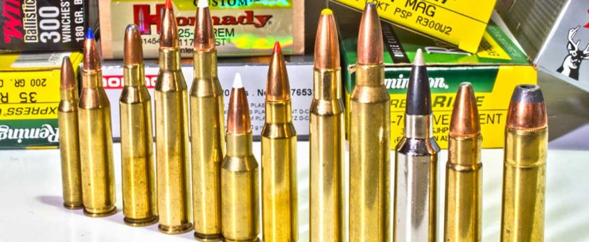 Can you pick the .30-06 round from the pack?