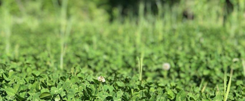 338206006_1335313270729109_5398440699517004677_n