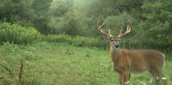 364993904_242607908095574_6761947319726808782_n