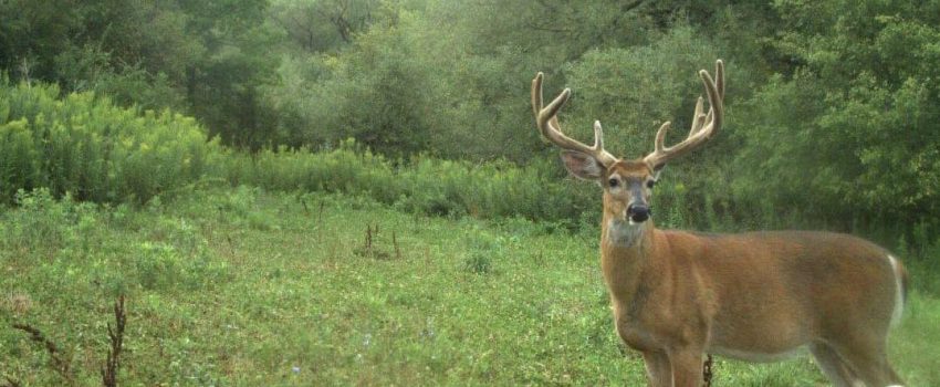 364993904_242607908095574_6761947319726808782_n