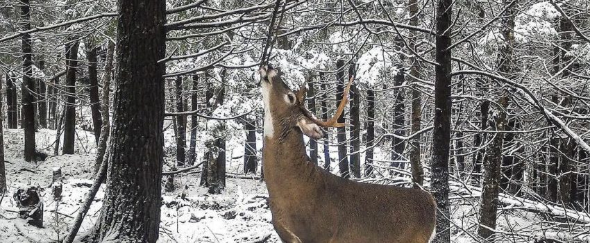 441287376_451466257360520_1472016283829223180_n