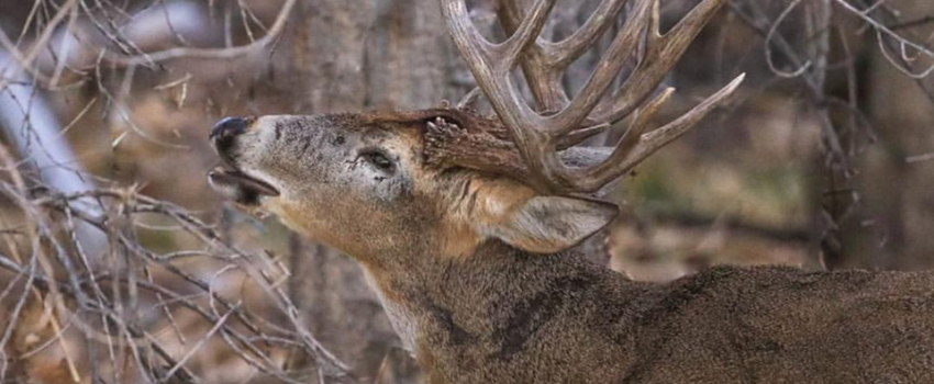 47098223_2242640586004513_7775167622227689472_n