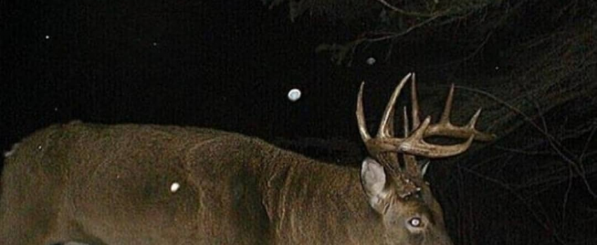 47225177_2087917544587294_2783306856993390592_n