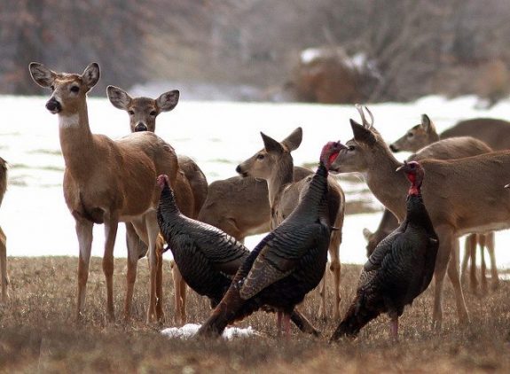 482877_539514522737191_1650220123_n