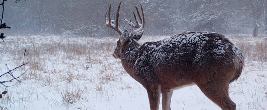 48364007_272721093596912_5384389942518480896_n