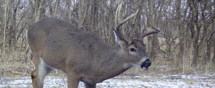 My beautiful picture