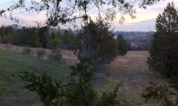 530976_10151294967430797_466642322_n