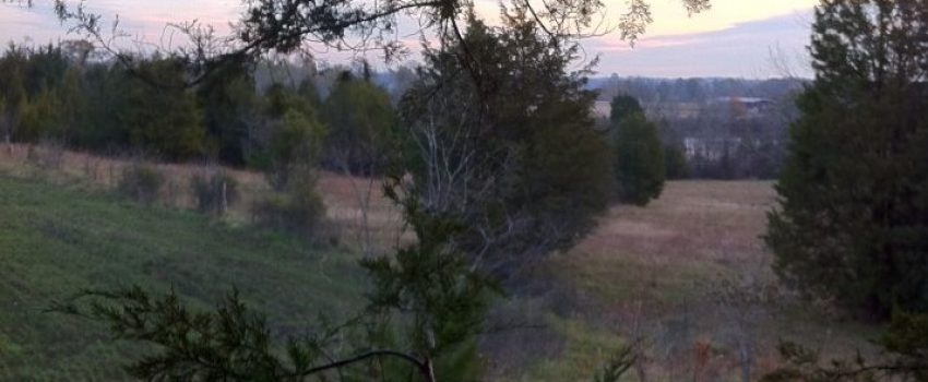 530976_10151294967430797_466642322_n